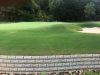 golf-course